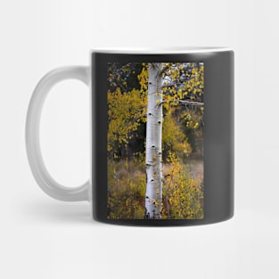 Aspen Bark Mug